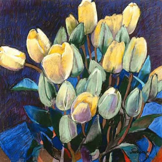 opening tulips by john sutherst