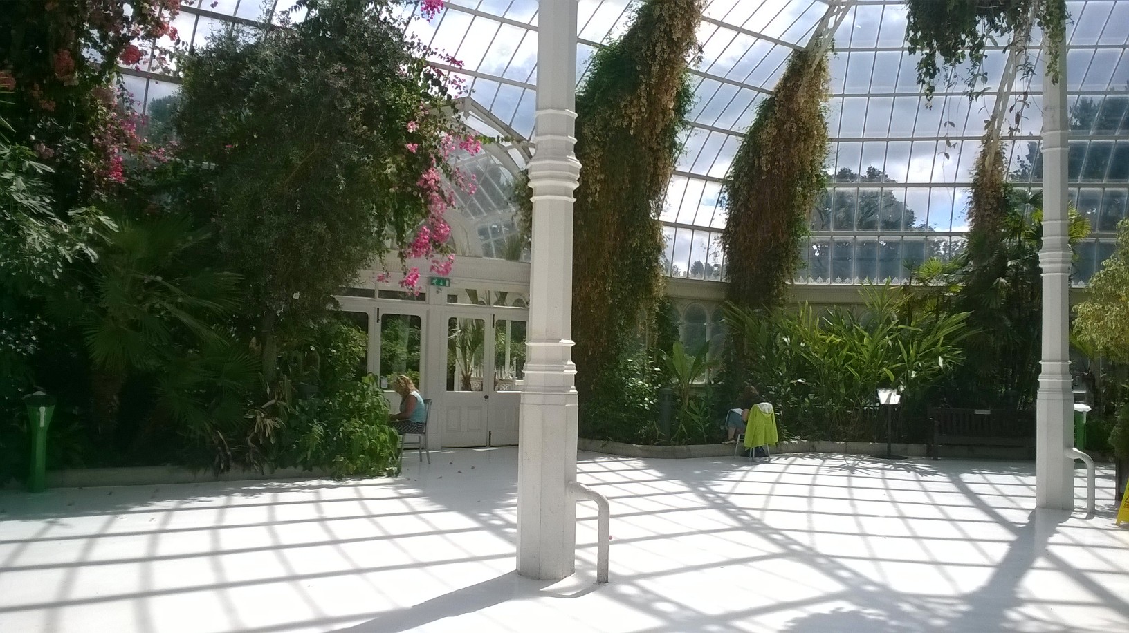 Sketching in the Palm House
