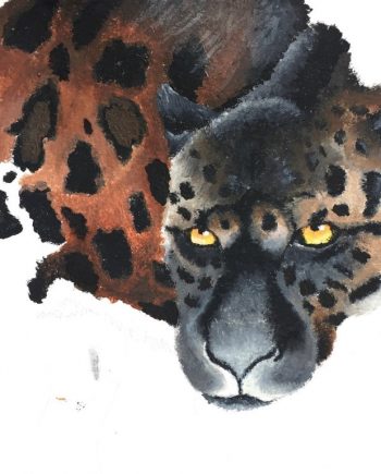 Jaguar by Nyah Boorman