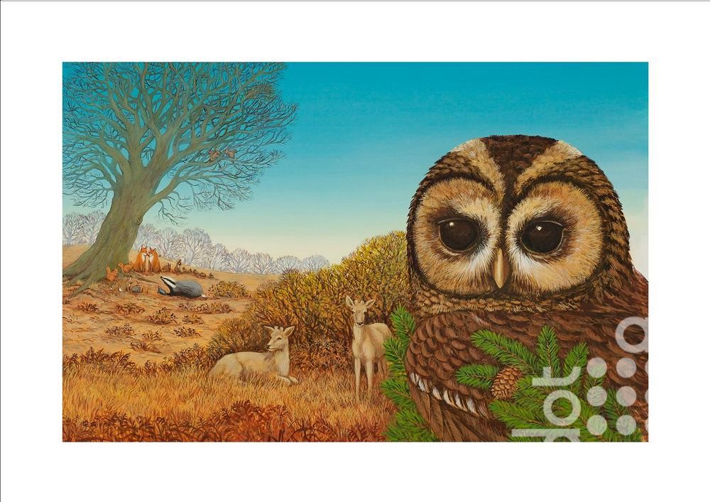 Owl by Frances Broomfield
