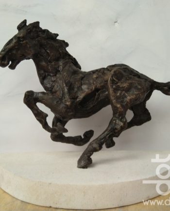 Galloping Horse by Tony Evans