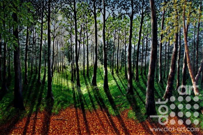 Into the Heart of the Forest by Hazel Thomson