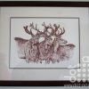 Stags by Beryl jean Worth