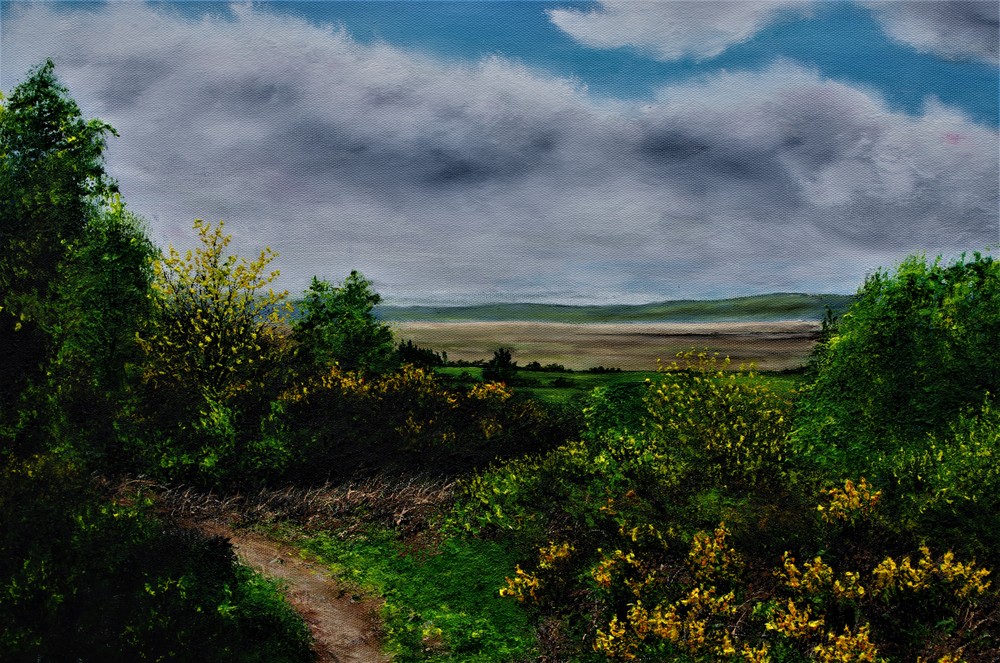 Heswall Dales by Hazel Thomson