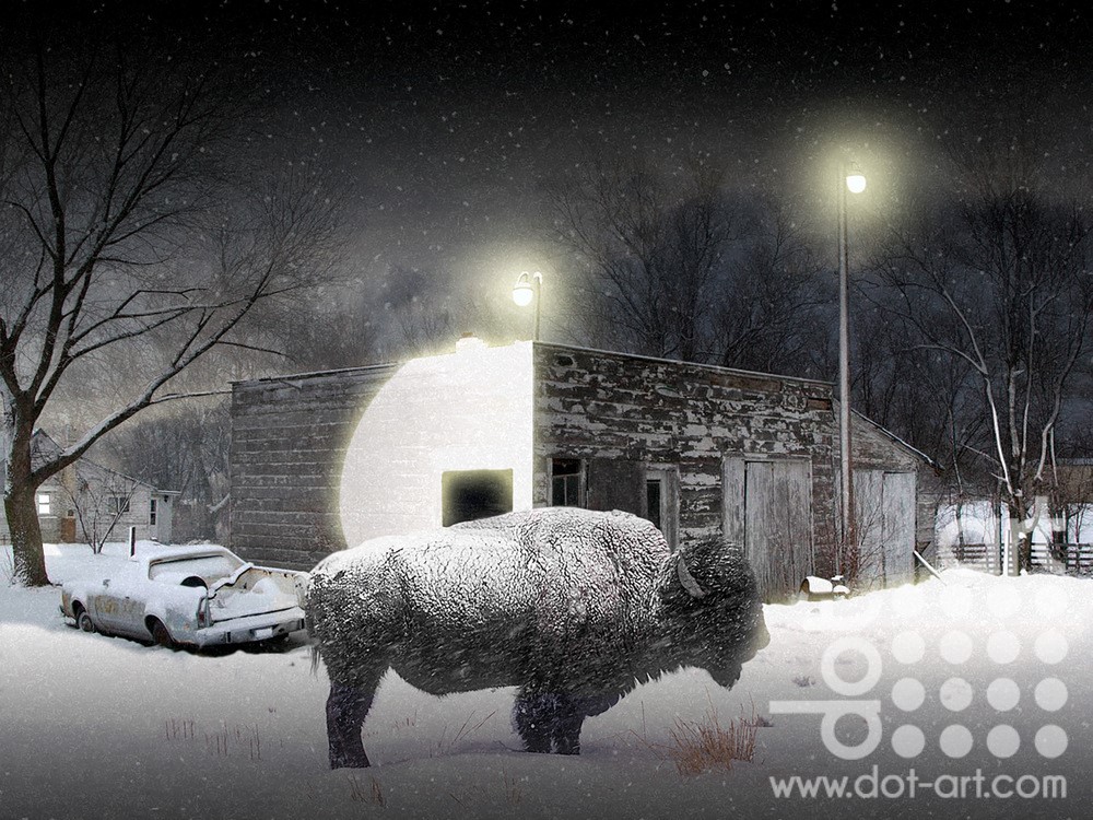 Buffalo-Blizzard by Vincent Kelly