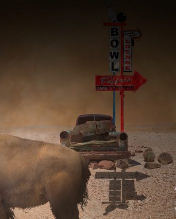 Buffalo-Dust-Bowl by vincent kelly