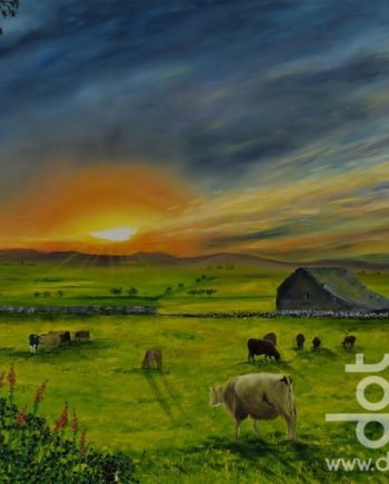 Sunset Over the Fields of Gwyndd by Hazel Thomson