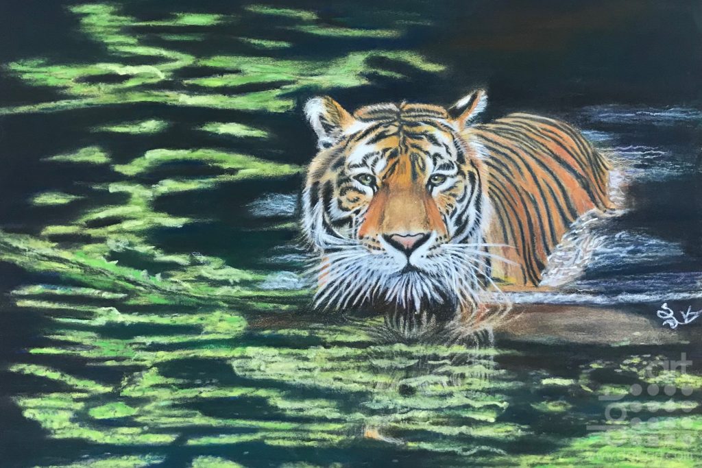 The tiger in the pond-Laleh Kamalian