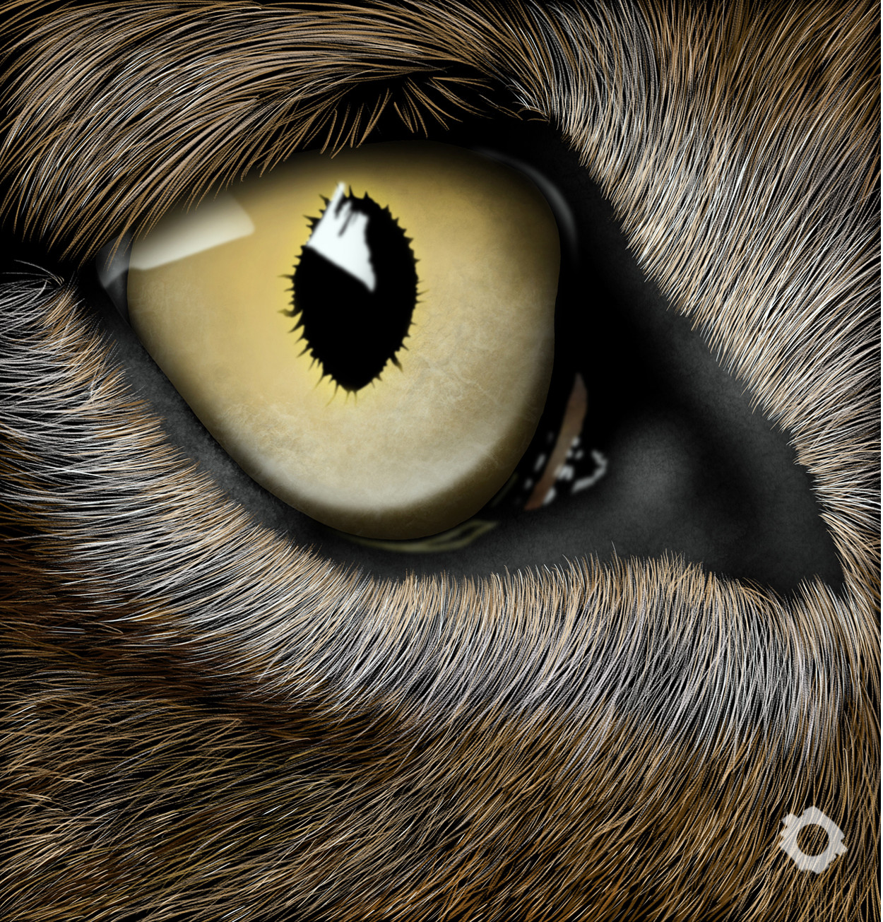 Eye of the Tiger - Alexander Finnie