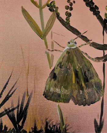 Moth on Copper - Suzanne Grace