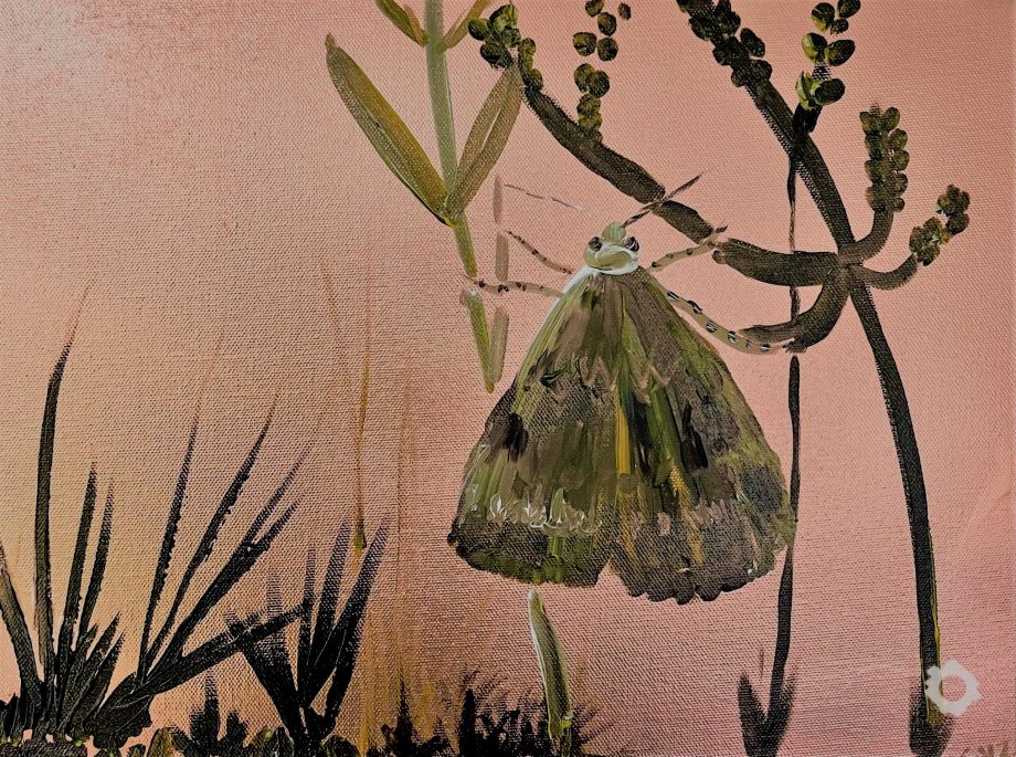 Moth on Copper – Suzanne Grace