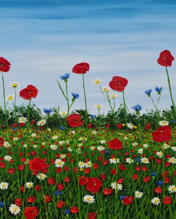 Summer Meadow - Hazel Thomson