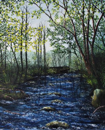 Forest River - Hazel Thomson