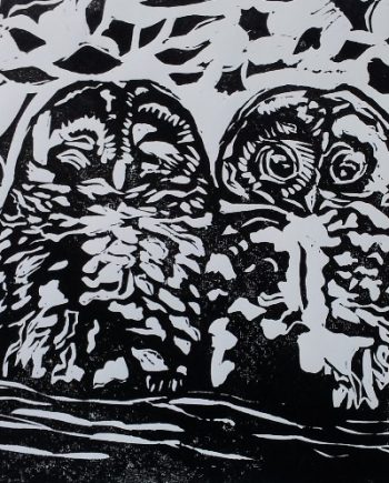 Baby Owls - Susan Lee Brown