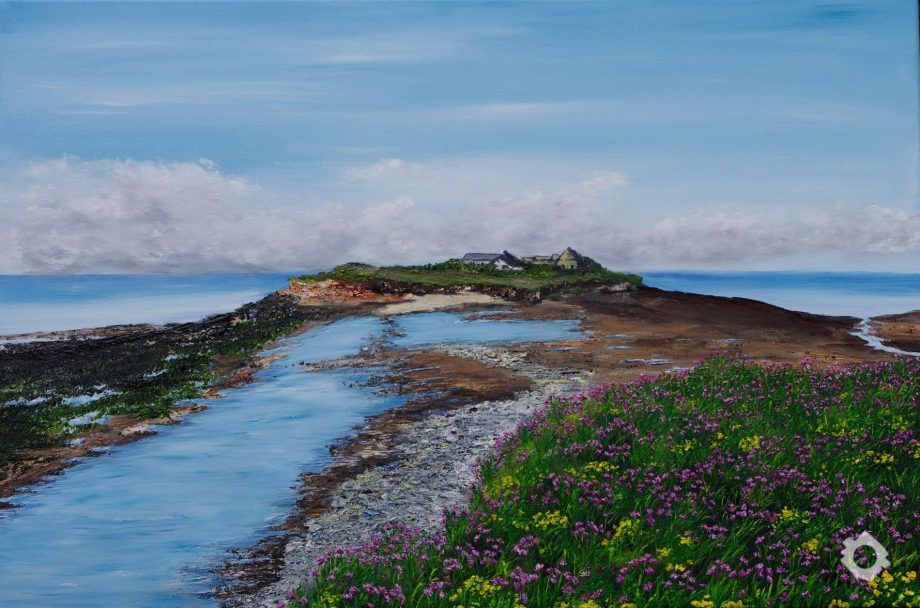 Hazel Thomson – Hilbre Island