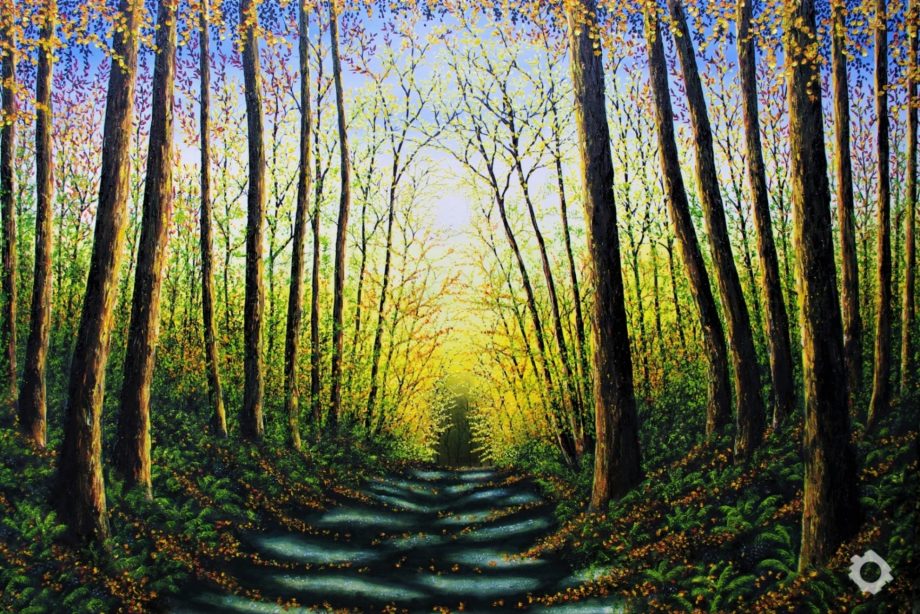 Hazel Thomson – Patterns of Forest Light