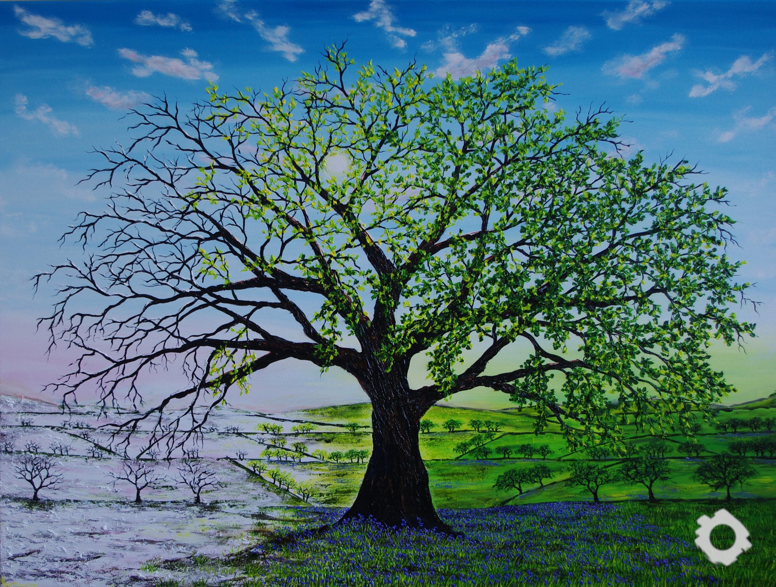 Oak of Winter to Spring