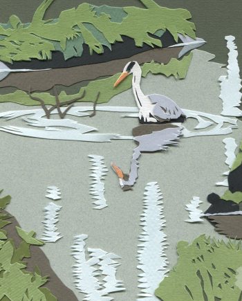 Liverpool Birds: Heron