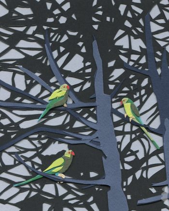 Liverpool Birds: Parakeets