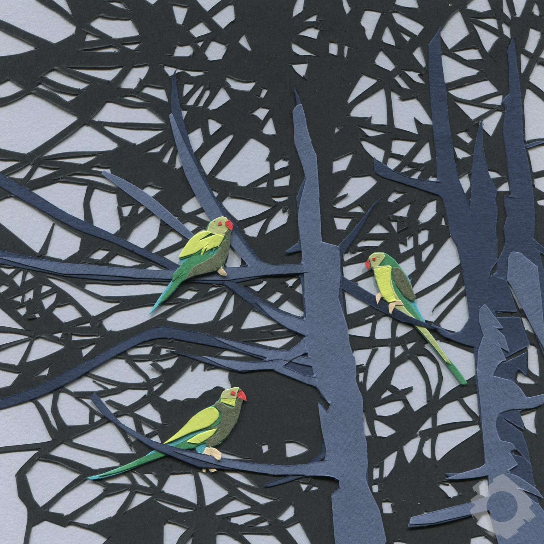 Liverpool Birds: Parakeets