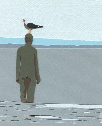 Liverpool Birds: Seagull