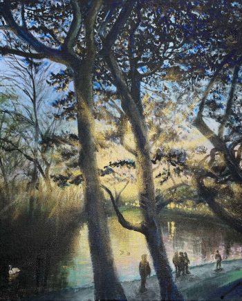 Swans at Dusk, Sefton Park