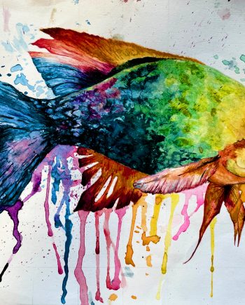 Rainbow Fish