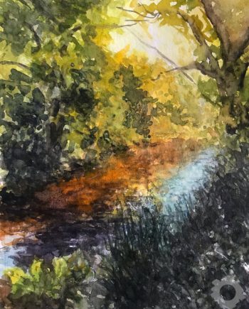 Reflections On The River Dane, Congleton